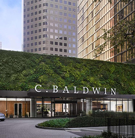 C. Baldwin, Curio Collection by Hilton