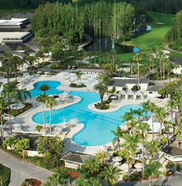 Saddlebrook Resort and Spa